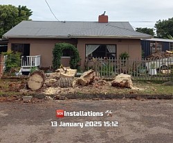 Tree felling