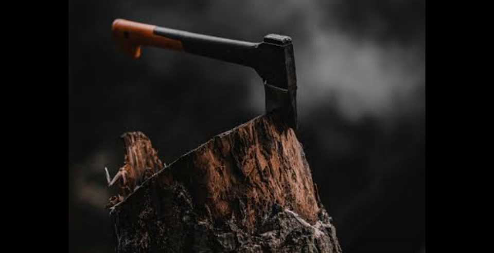 Tree chopping